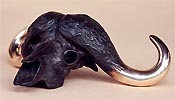 buffalo skull