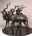 three greater kudu antelope