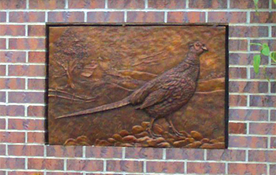 pheasant relief