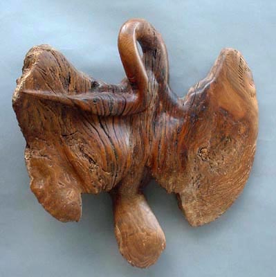 ancient form wood